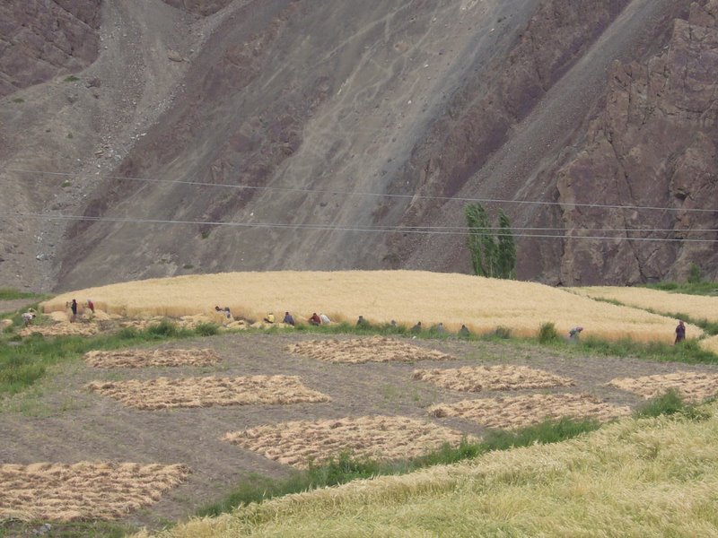 Travel - India - Ladakh - Trip to Alchi - Alchi to Saspol